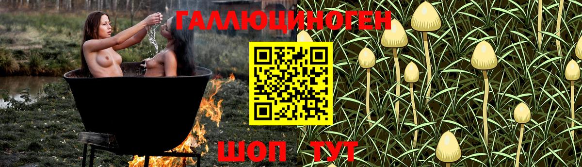 наркотики  Вход с VPN  Кинель  Галлюциногенные грибы Magic Shrooms  Псилоцибиновые грибы мицелий 