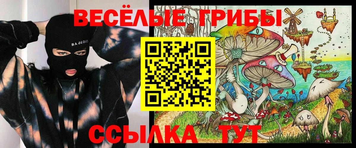 Галлюциногенные грибы MAGIC MUSHROOMS Кинель