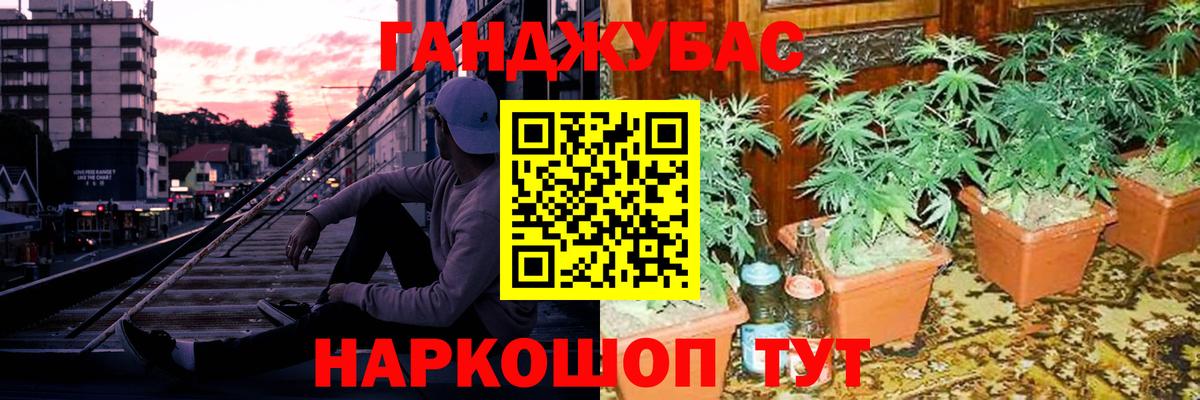 Кинель  Шишки марихуана планчик  Вход с VPN  Бошки Шишки индика 